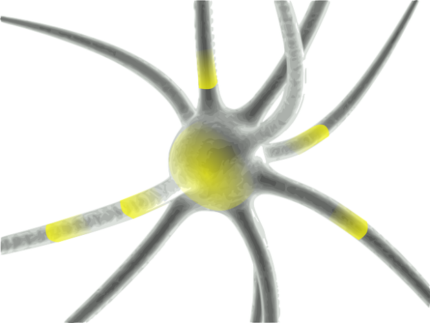 Neuro-sémantique Neuro-sémantique
