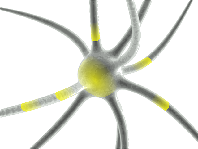 Neuro-sémantique