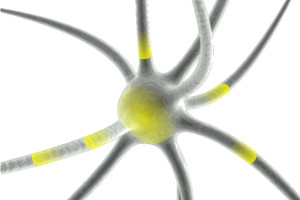 La neuro-sémantique