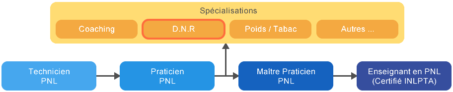 Formation Deep Neural Repatterning Tunisie